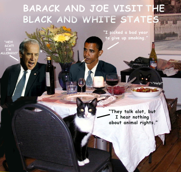 Barack & Joe